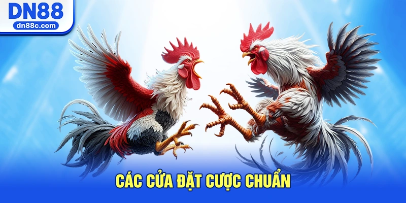 Các Cửa Đặt Cược Chuẩn Và Bí Kíp Soi Kèo