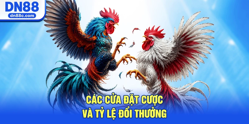 Các Cửa Đặt Cược Và Tỷ Lệ Đổi Thưởng