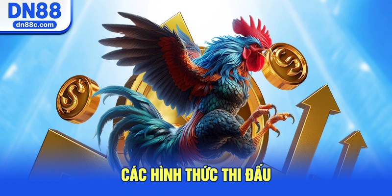 Chi Tiết Các Hình Thức Thi Đấu Đang Chiếm Sóng