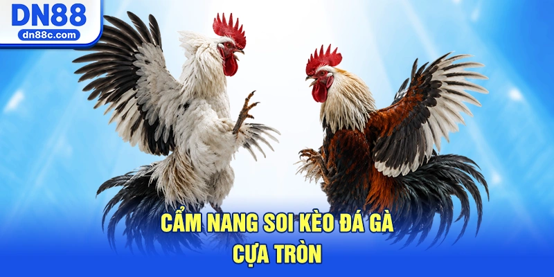 Cẩm Nang Soi Kèo Đá Gà Cựa Tròn Bất Bại