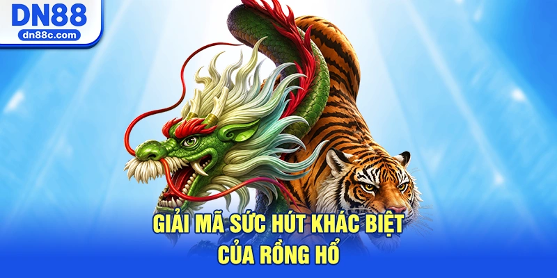 Giải Mã Sức Hút Khác Biệt Của Rồng Hổ DN88