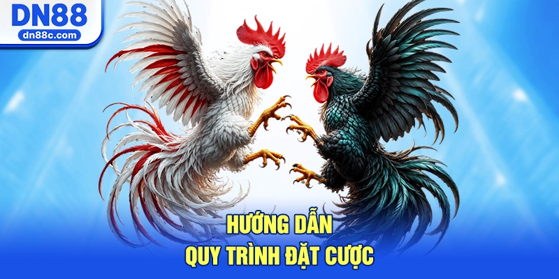 Hướng Dẫn Quy Trình Đặt Cược