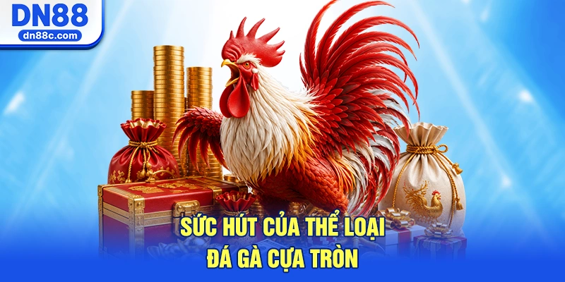 Bản Chất Và Sức Hút Của Thể Loại Đá Gà Cựa Tròn
