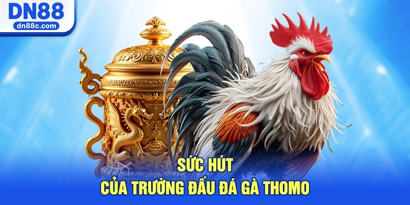 Sức Hút Của Đấu Trường Đá Gà Thomo