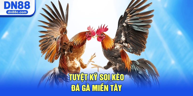 Tuyệt Kỹ Soi Kèo Đá Gà Miền Tây Bất Bại