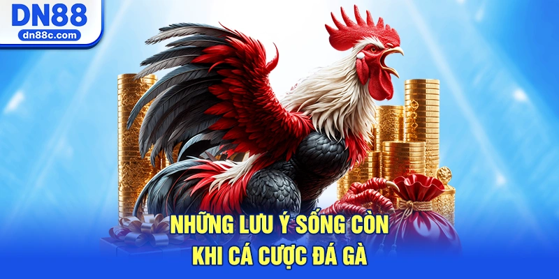 Những Lưu Ý Sống Còn Khi Cá Cược Đá Gà DN88