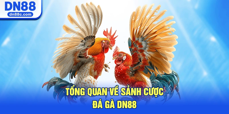 Tổng Quan Về Sảnh Cược Đá Gà DN88 Trực Tuyến